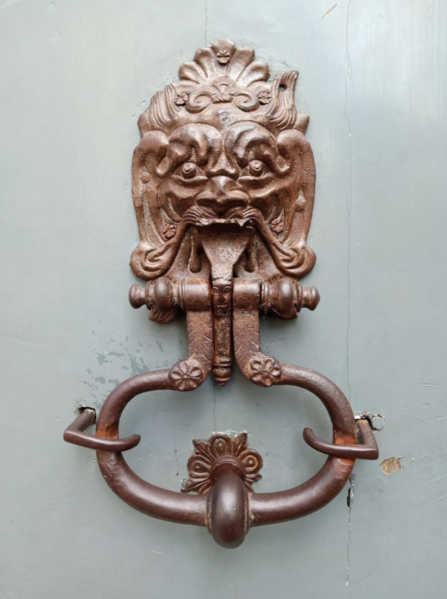 Bronze lion door knocker on a pale green door