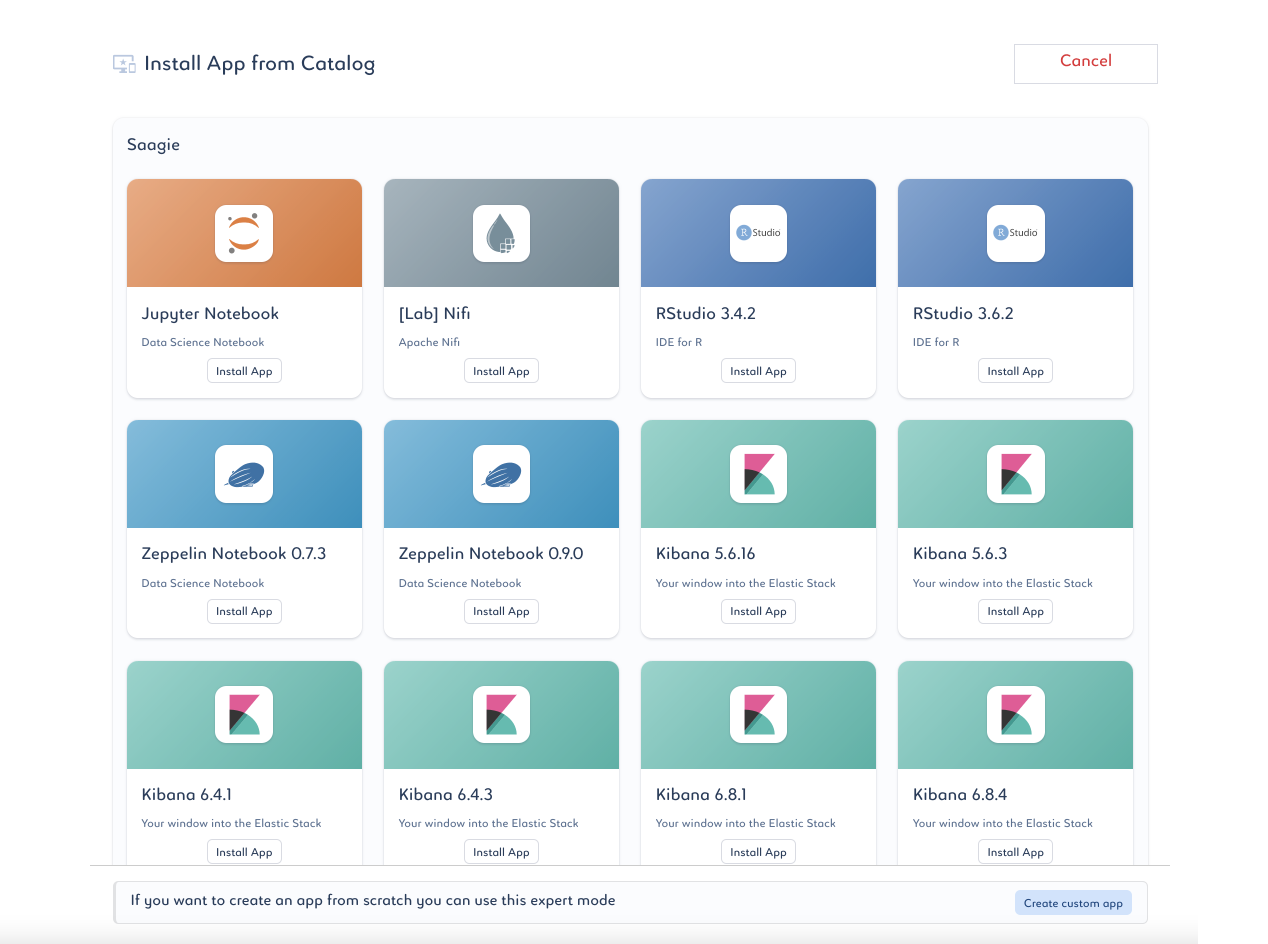 Previous Saagie application catalog with repeated cards for every version